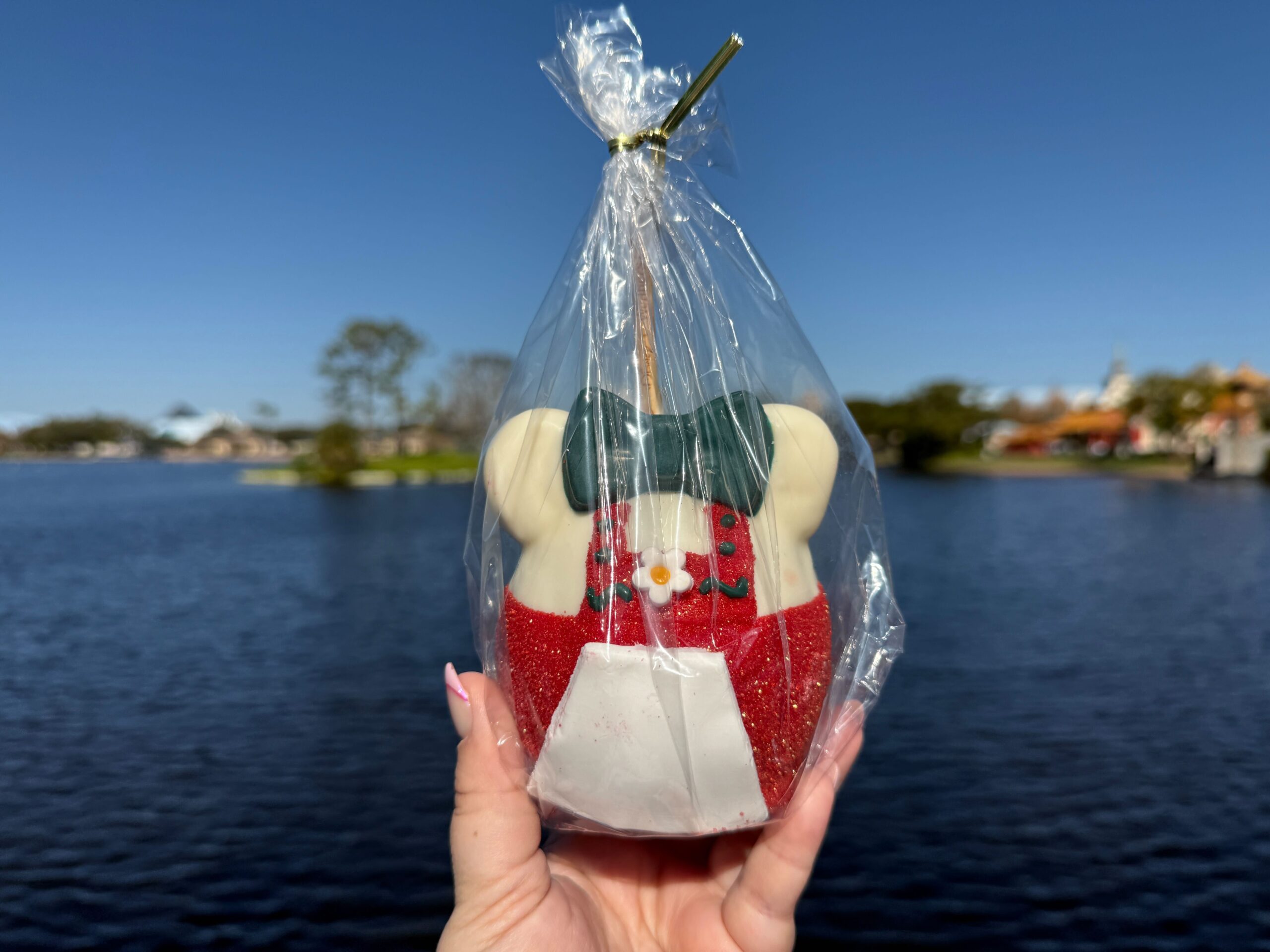 Let’s Indulge in the NEW Minnie Dirndl Apple at Karamel Kuche Post Image