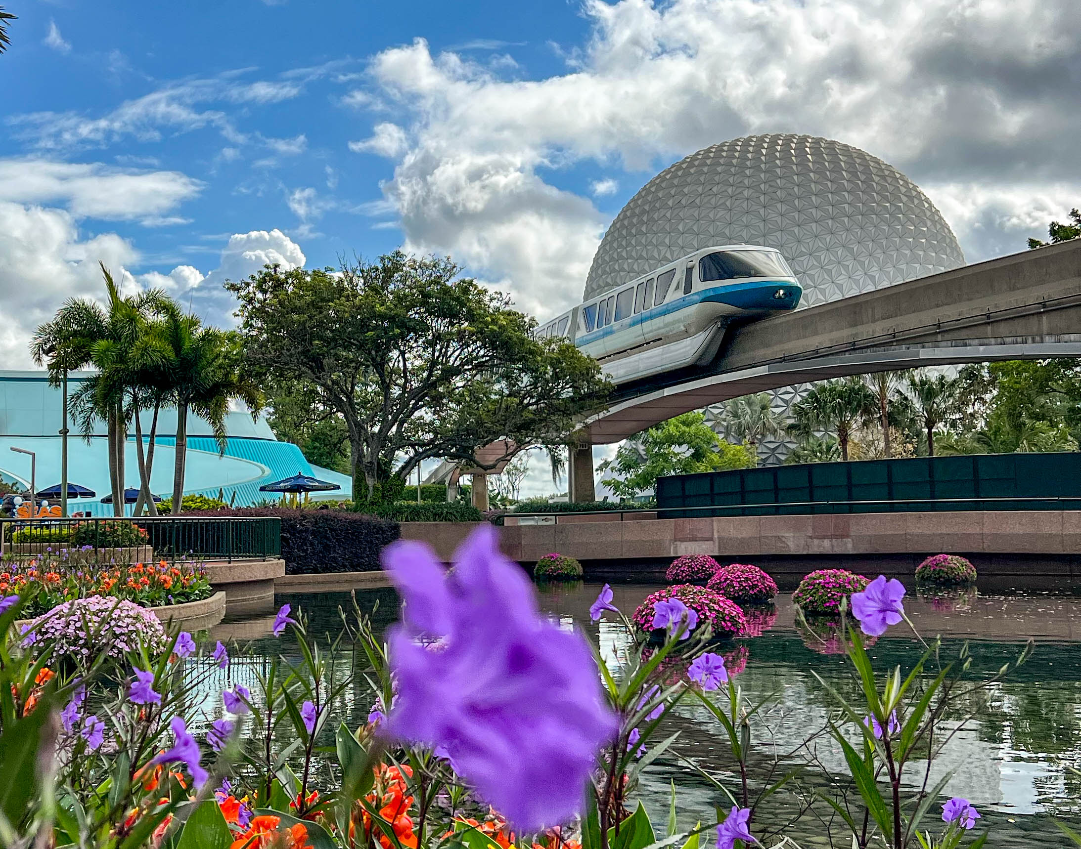 Let’s Talk Spring Break at Disney Post Image