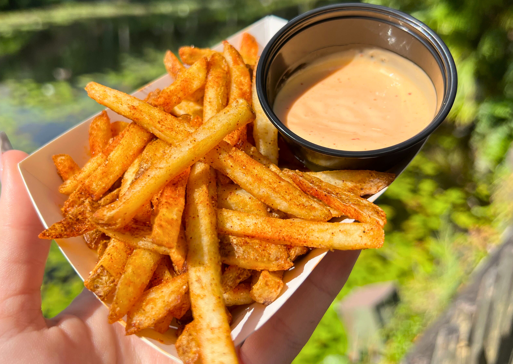 Disney World’s 5 BEST French Fry Dishes Post Image