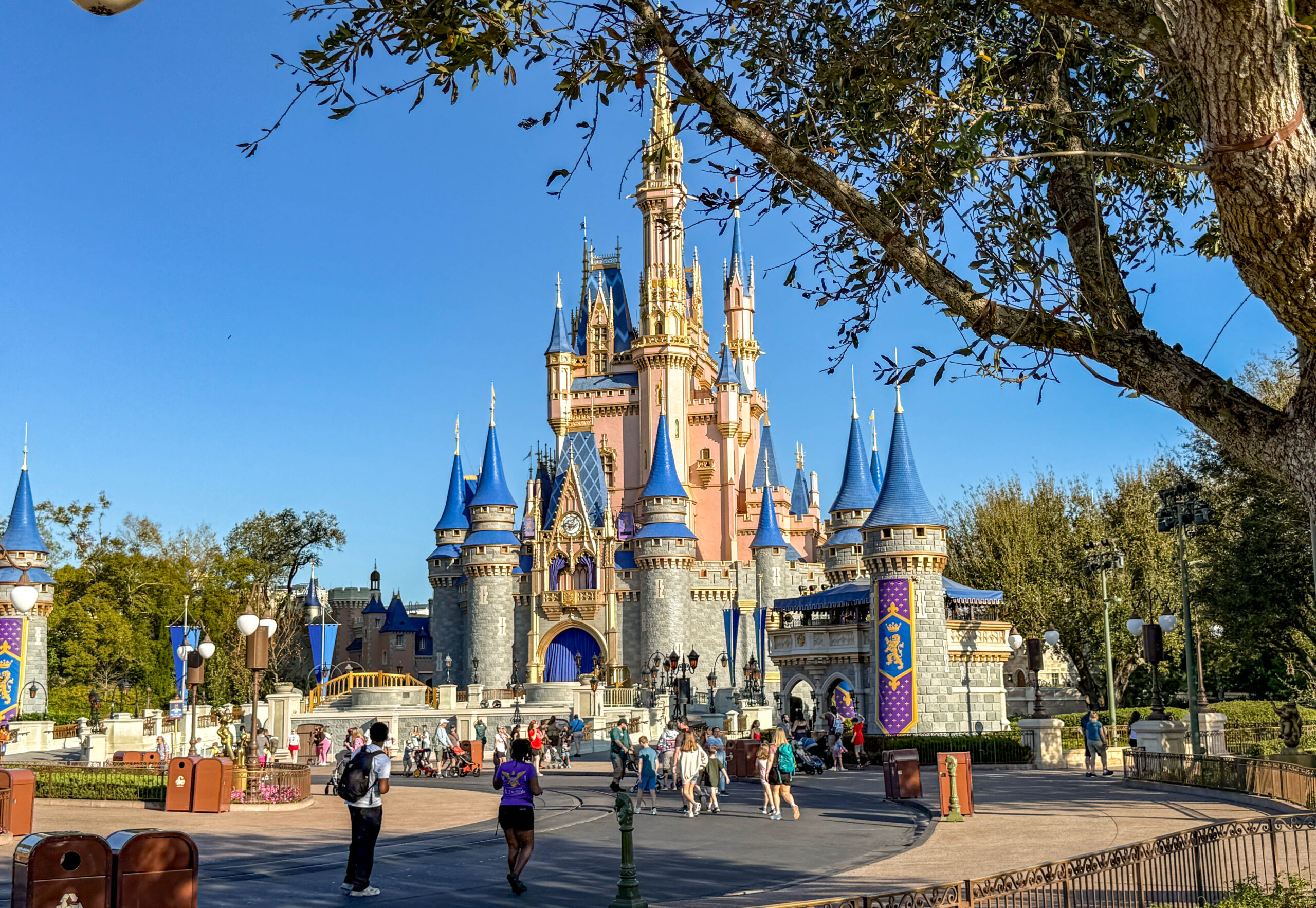 Disney Headlines for February 11th, 2025 Post Image