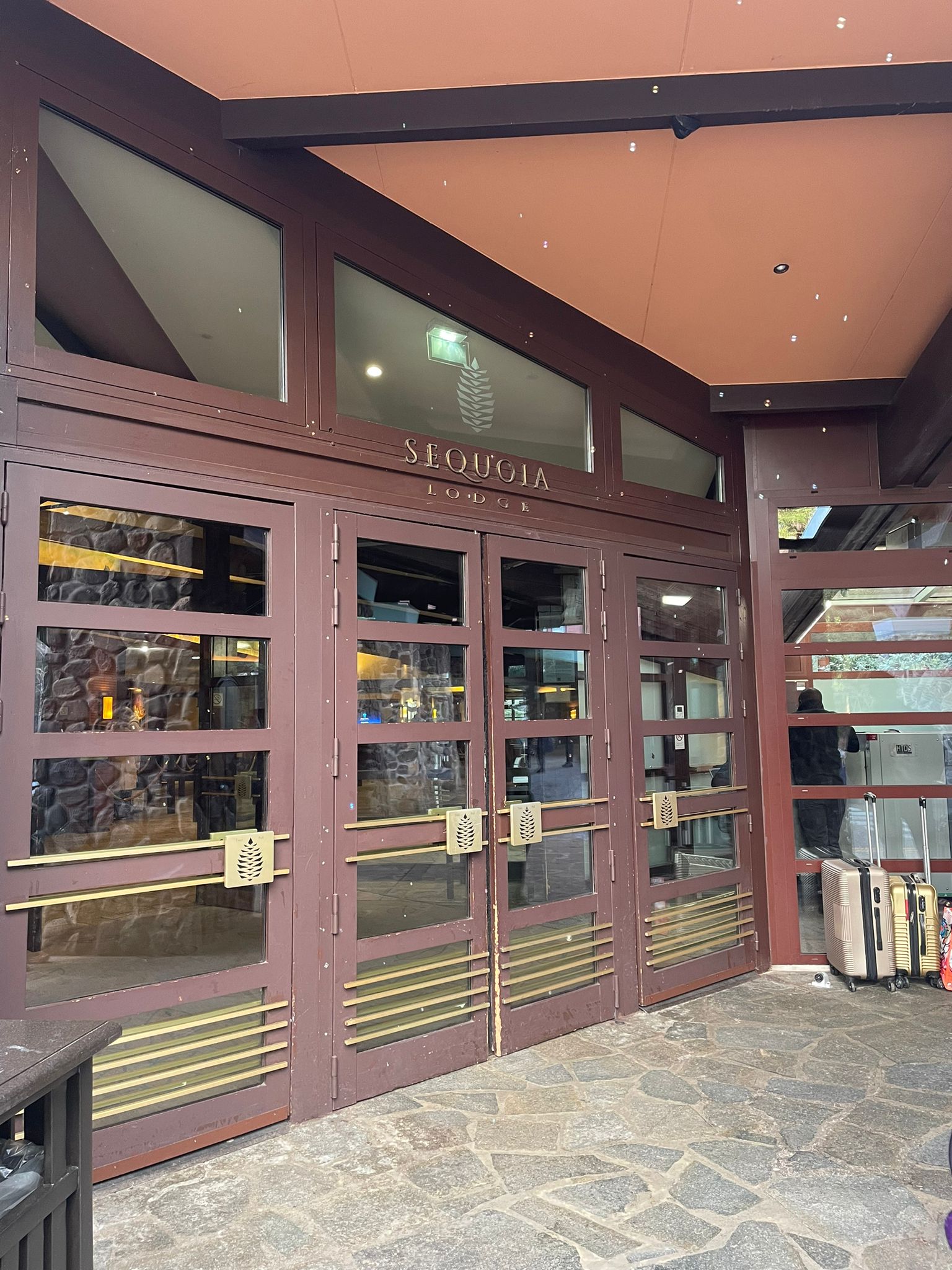 PHOTOS: Bambi Room Review at Disney Sequoia Lodge Hotel Post Image