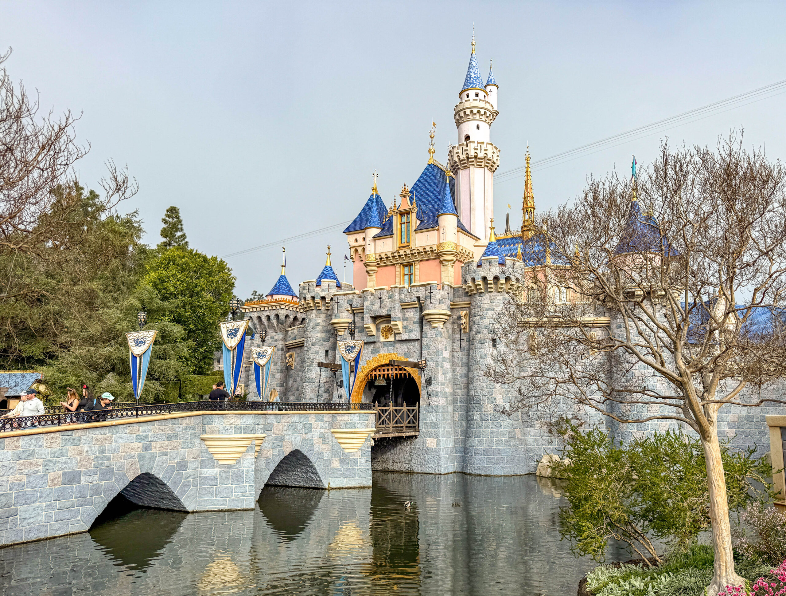 Park Reservations Continue Selling Out at the Disneyland Resort Post Image