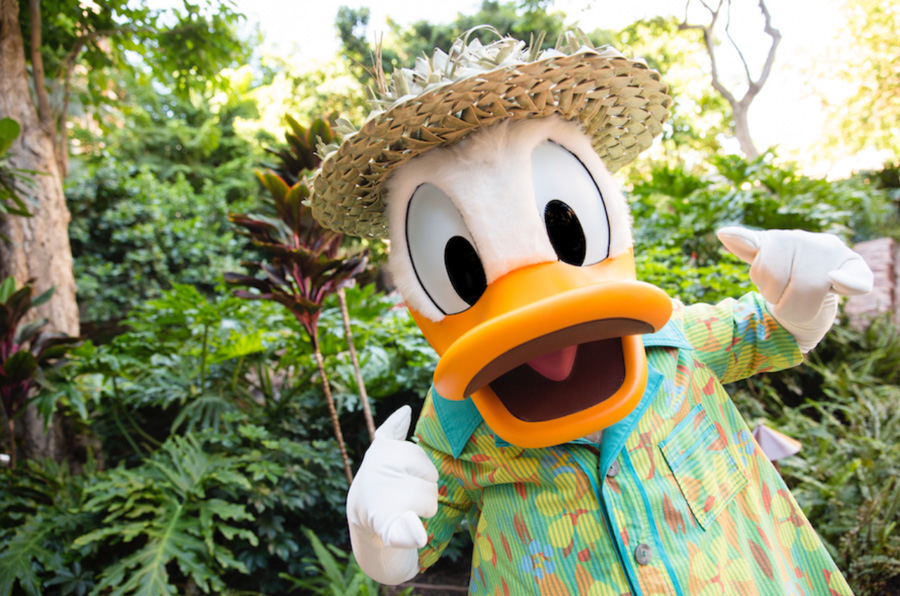 Reservations Are NOW OPEN For Donald’s Tales of Adventure Dinner Buffet Post Image