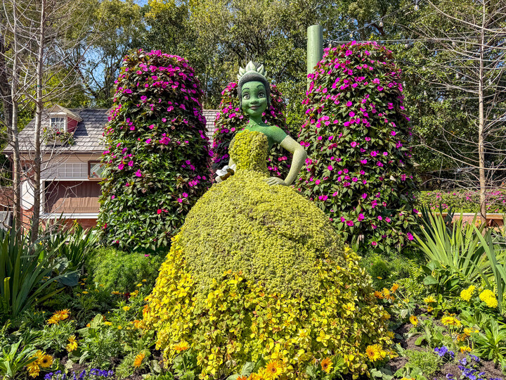 Dine with a View: The Best Scenic Restaurants at Disney World This Spring Post Image