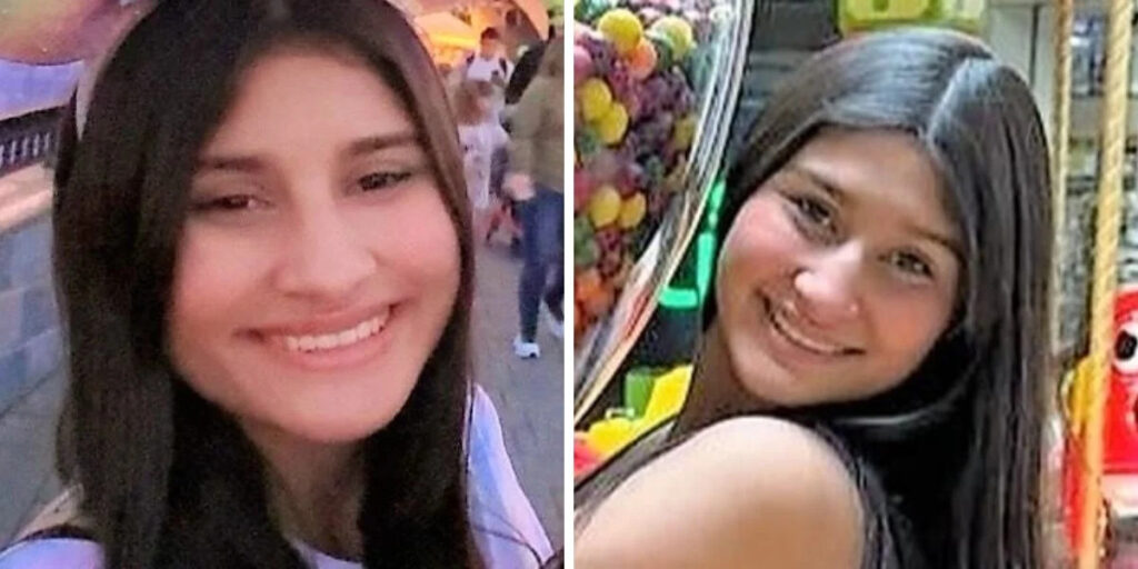 Girl Goes Missing After Leaving Disney California Adventure; Police Seek Public’s Help Post Image