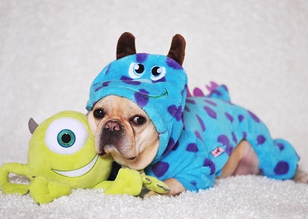 NEW Disney Dogs &amp; Cats Loungefly Arrives in EPCOT Post Image