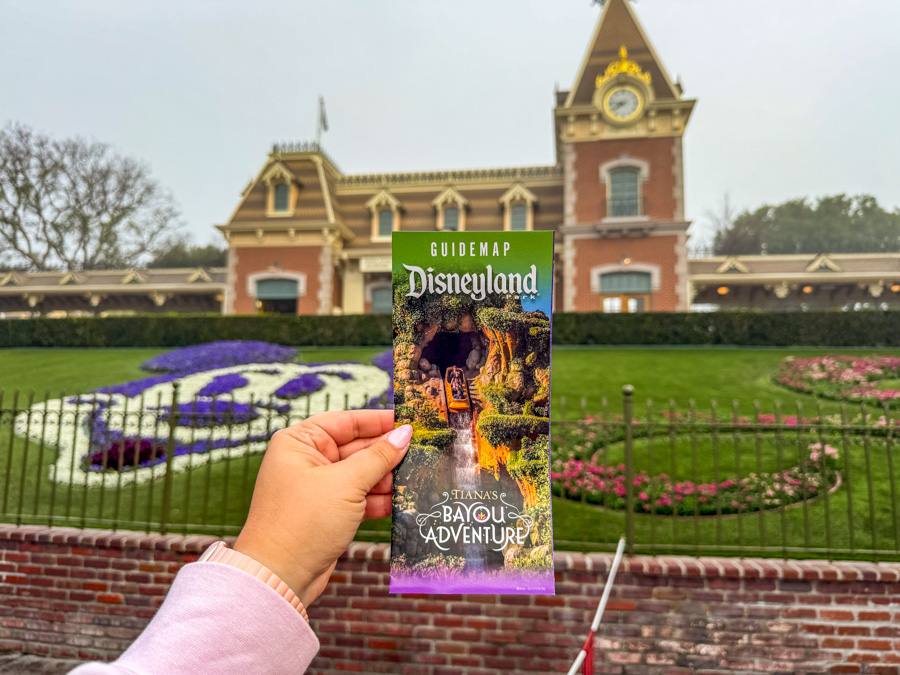 NEW Argentinian Food Truck Serving Up Some Delicious Eats at Disneyland Resort! Post Image