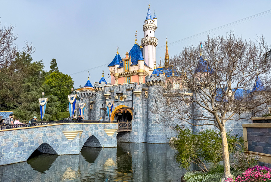 Guide to Planning Your Next Disneyland Vacation Post Image