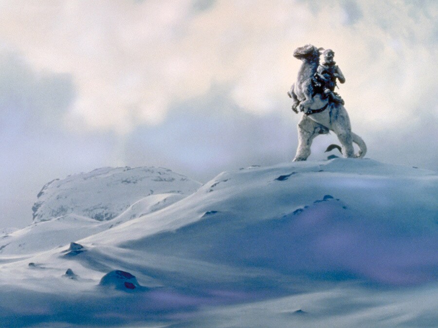 Conquer the Cold With The Star Wars Hoth Collection from the Disney Store Post Image