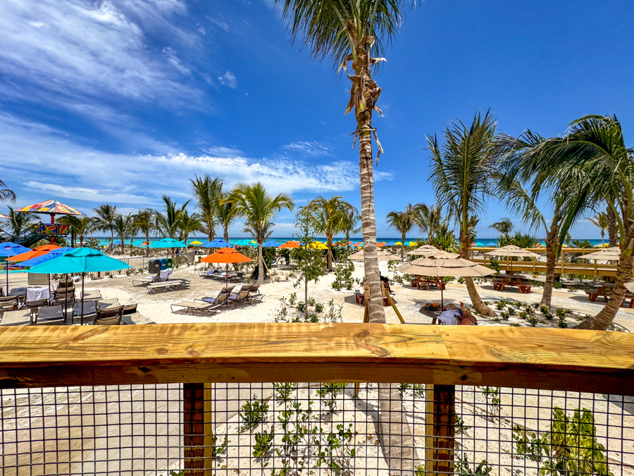 How Disney Used 3D Printing for Conservation at Disney Lookout Cay! Post Image