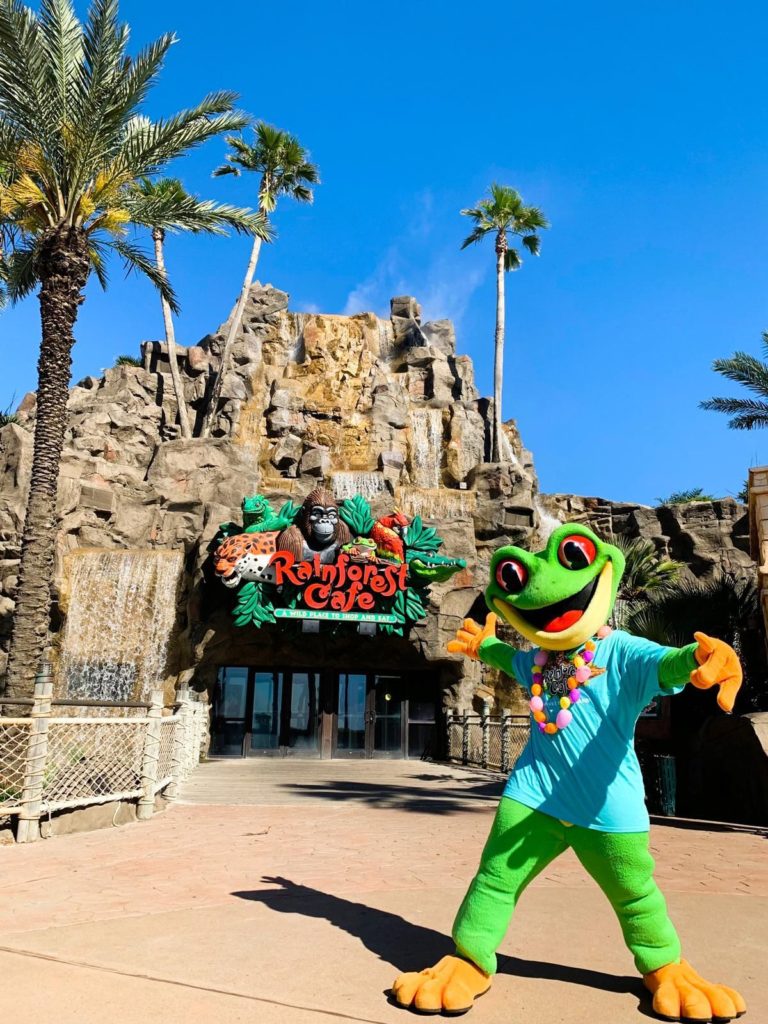 Rediscover Lost Flavors with “Forgotten Fares of the Rainforest” at Rainforest Cafe in Disney World Post Image