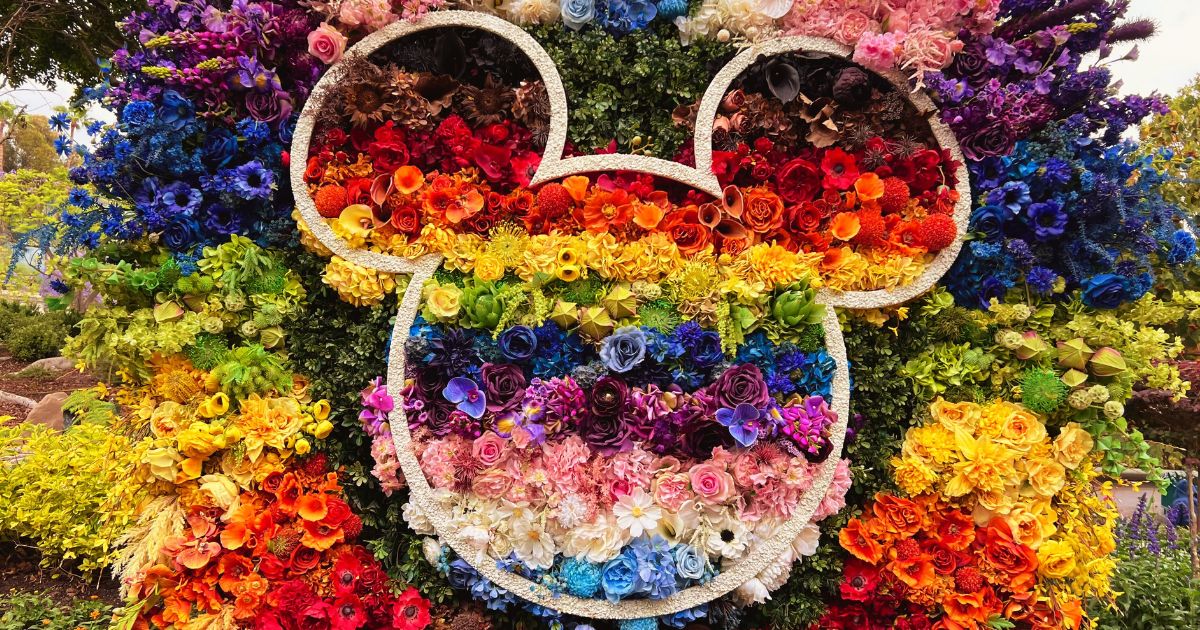 Let’s Check Out the SECRET Menu and New Items at Vista Parkside Market! Post Image