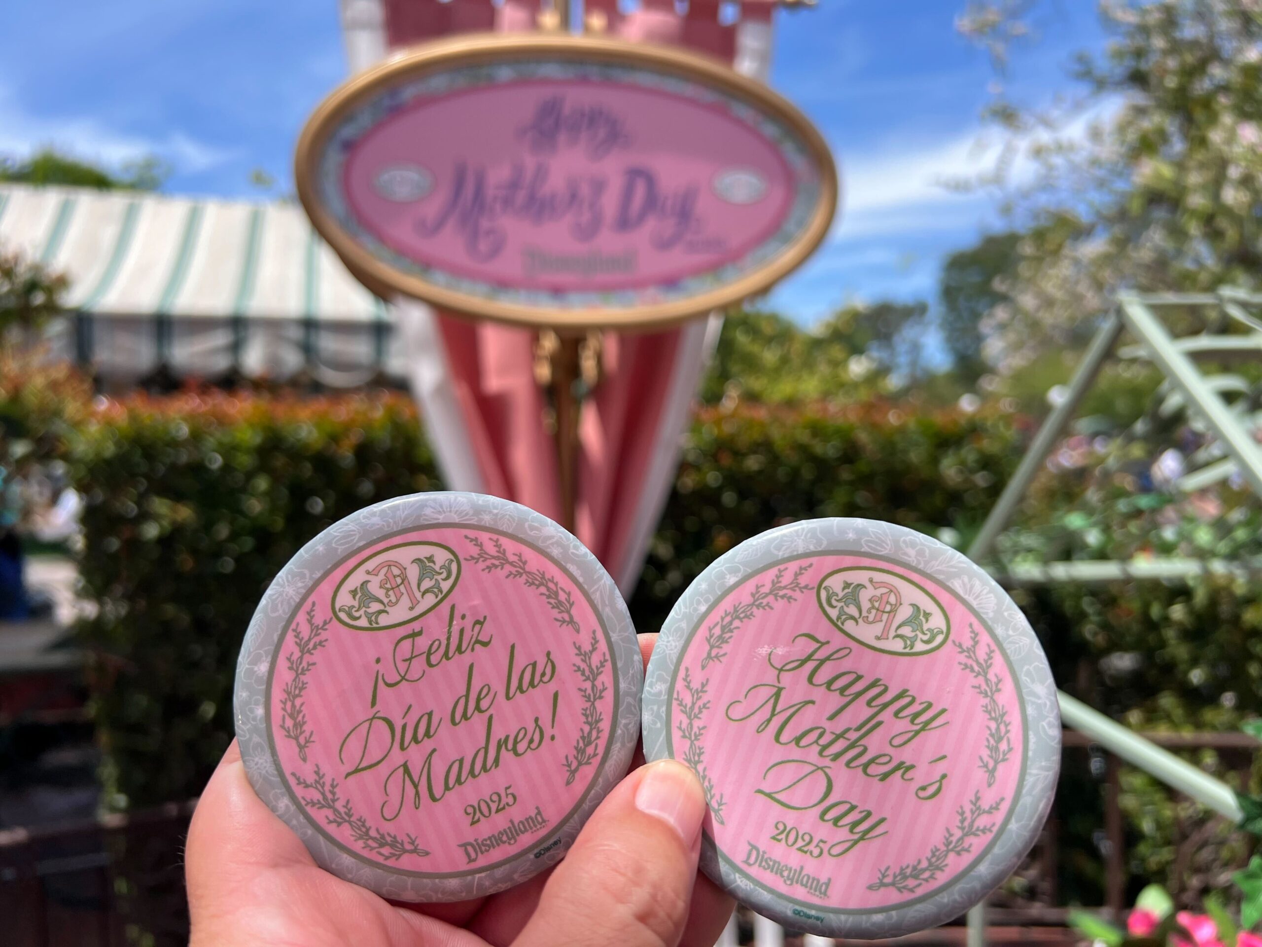 We Celebrated Mother’s Day at the Disneyland Resort! Post Image