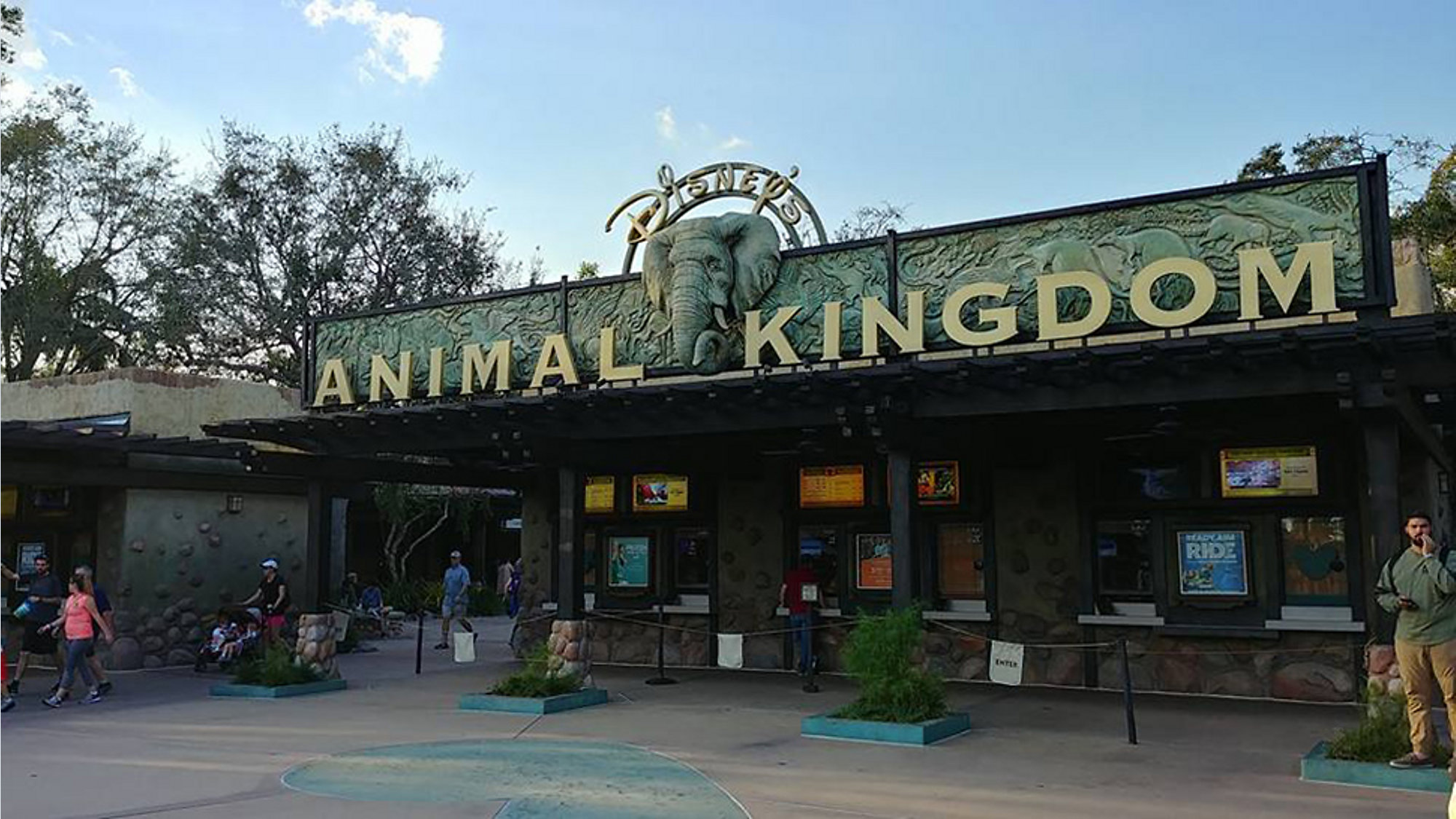 Where Should You Eat at Animal Kingdom? Post Image