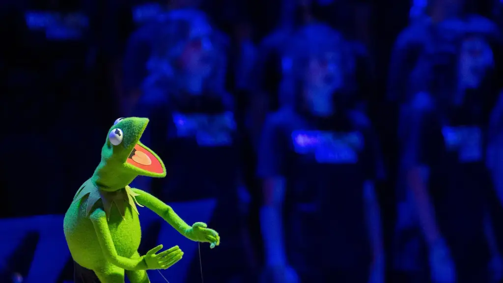 WATCH: Kermit The Frog Gives a Moving Speech at the University of Maryland Commencement Post Image
