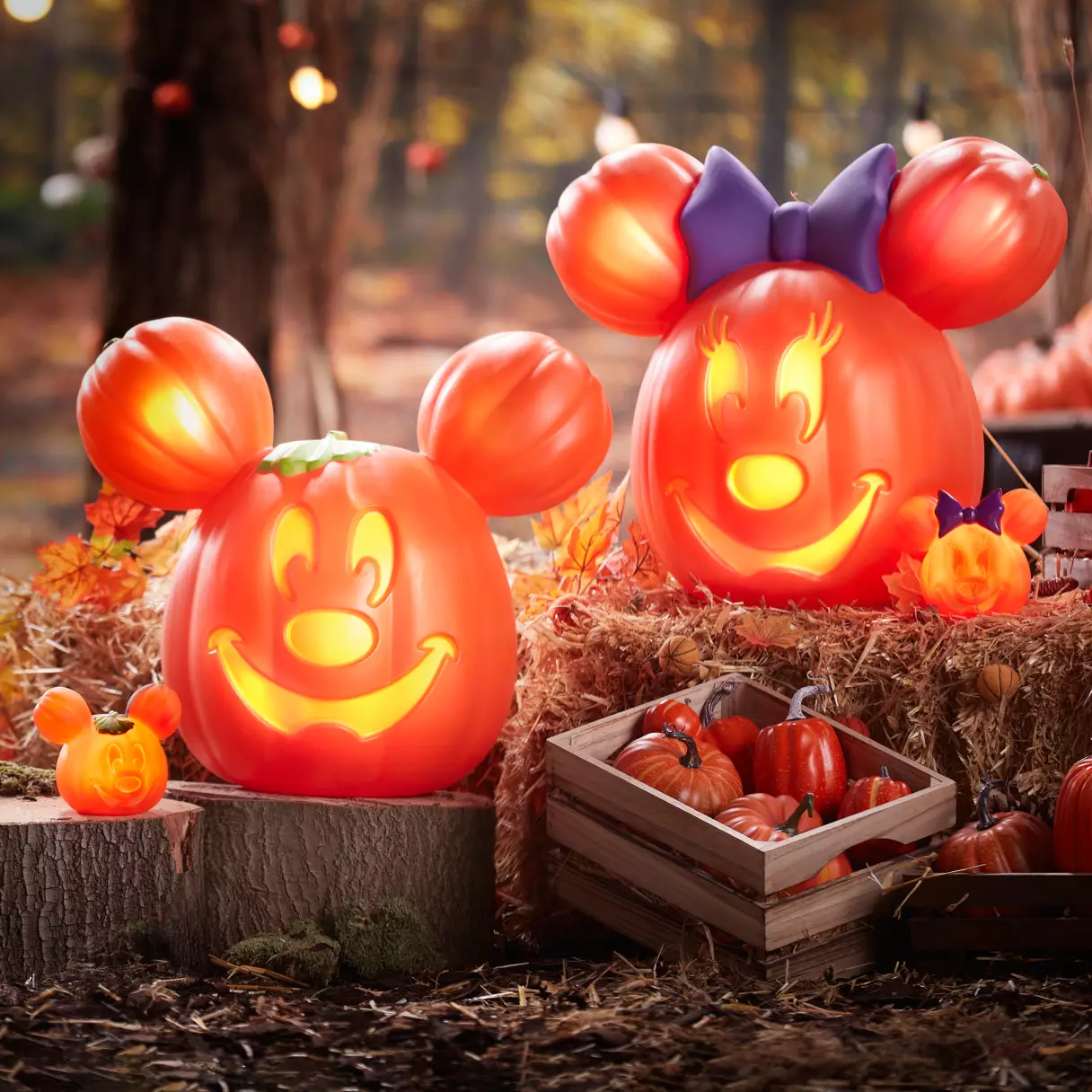 Don’t Wait! The Mickey and Minnie Light-Up Jack-o’-Lanterns are LIVE at Disney Store Post Image