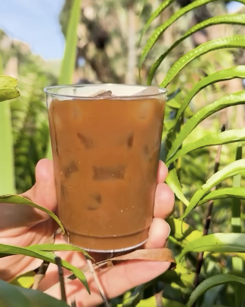 New Cold Brew Creations and Coffee Flight Land at Satu’li Canteen Post Image