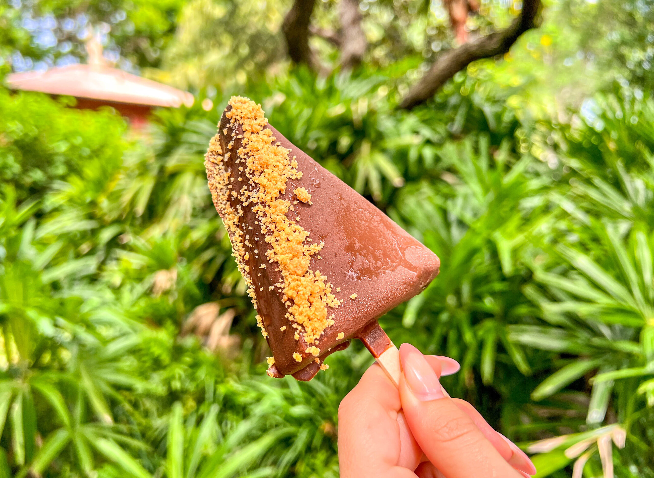 Grilled Corn on the Cob Has FINALLY Returned to Animal Kingdom! Post Image