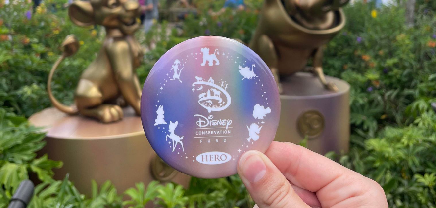 Disney Sea Turtles Ariel &amp; Moana Have Entered the Tour de Turtles! Post Image