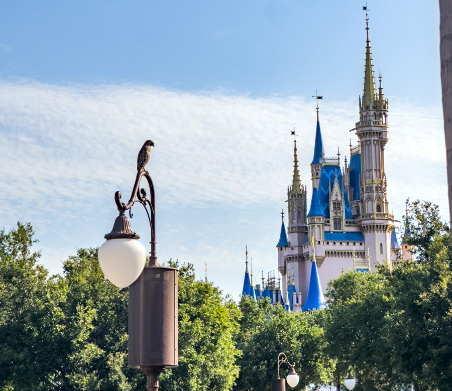 Extreme Heat Expected in Disney World This Weekend Post Image