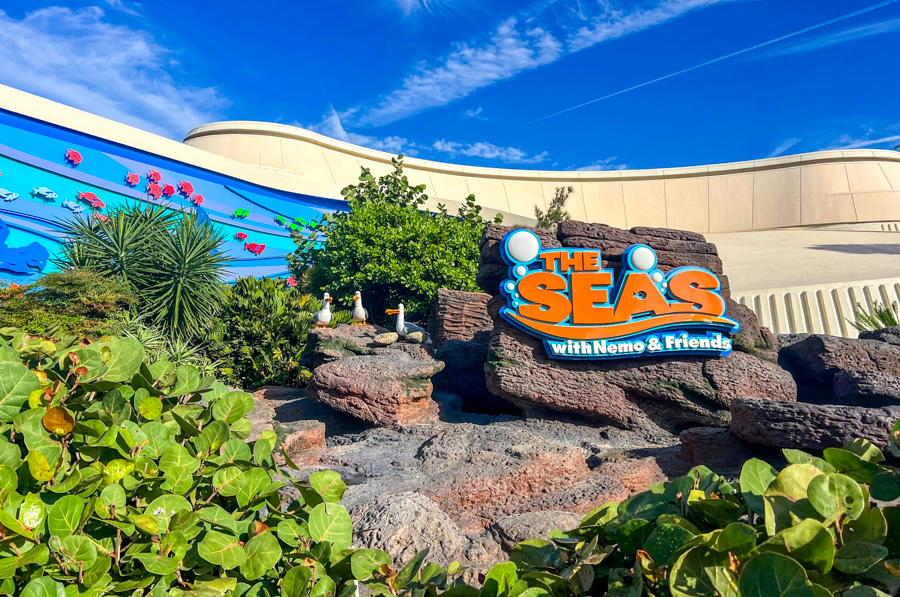 WATCH: It’s Breakfast Time for the Sharks at EPCOT Post Image