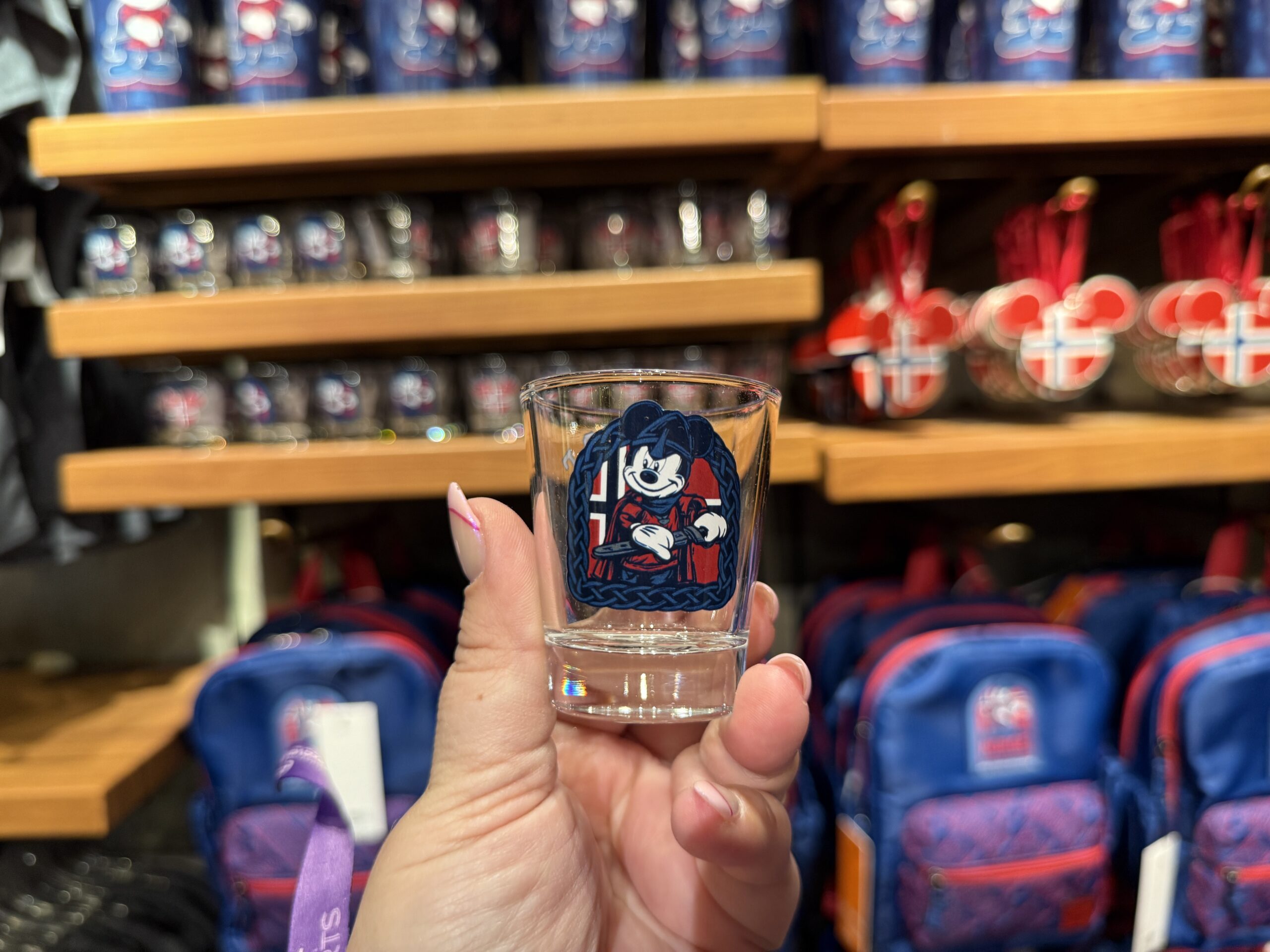 Disney World Souvenirs I ACTUALLY Use at Home Post Image