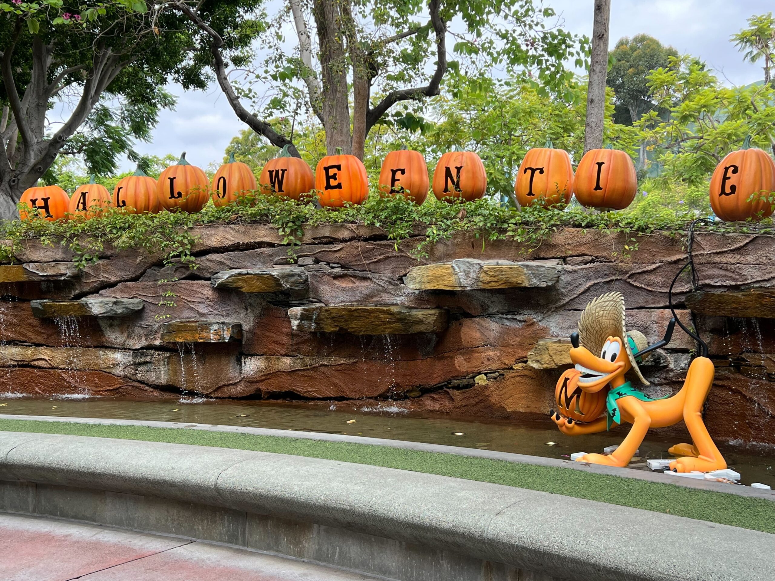Fall Decorations Bring Seasonal Charm to Downtown Disney District Post Image