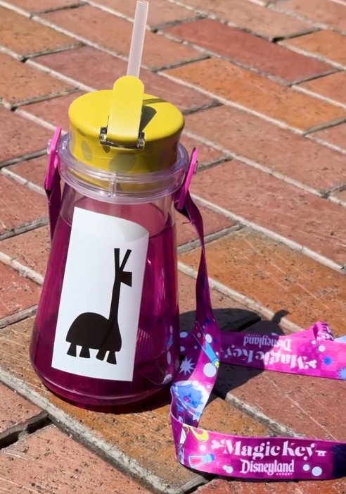We Have the NEW Magic Keyholder Kuzco Poison Light Up Sipper! Post Image
