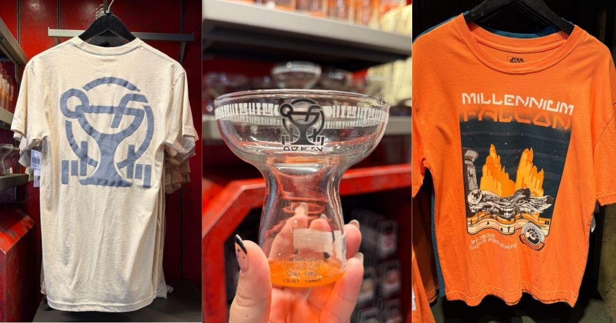 ‘The Aristocats’ and ‘101 Dalmatians’ Collections Have Arrived at Vera Bradley! Post Image