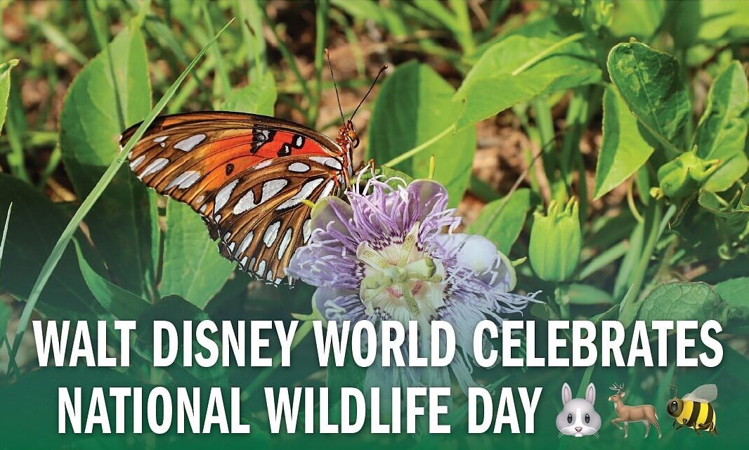 How Disney World Celebrates National Wildlife Day Today and Everyday Post Image