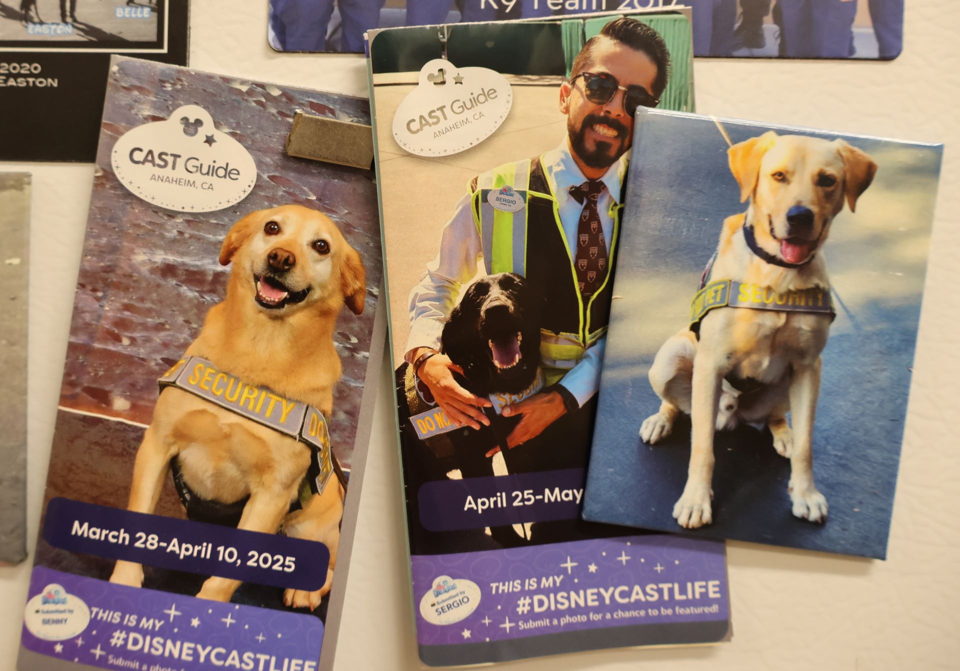 Go Behind the Scenes with Disneyland Resort’s K9 Security Team Post Image