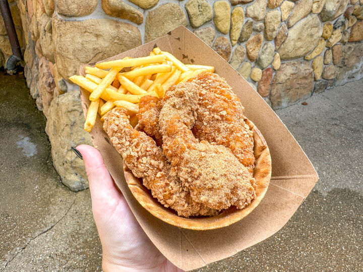 We’ll Be Coming Back For More of Magic Kingdom’s Buffalo Chicken Strips! Post Image