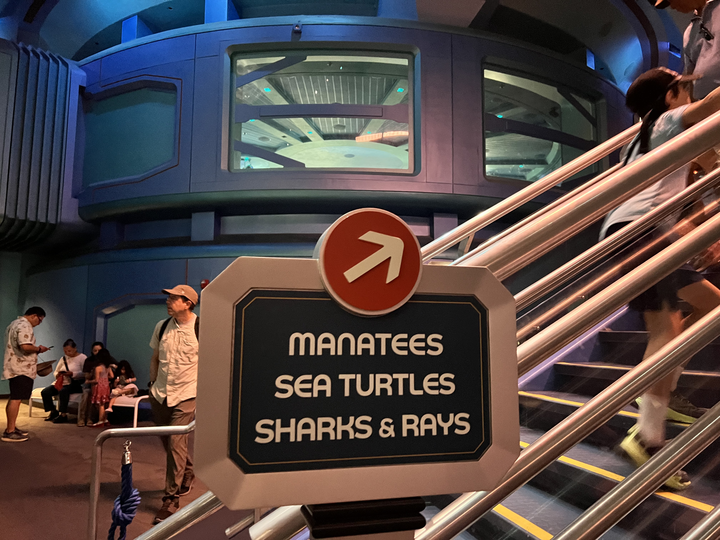 After Rehabilitating at The Seas With Nemo &amp; Friends, Mermaid the Manatee Has Been Released to the Wild Post Image