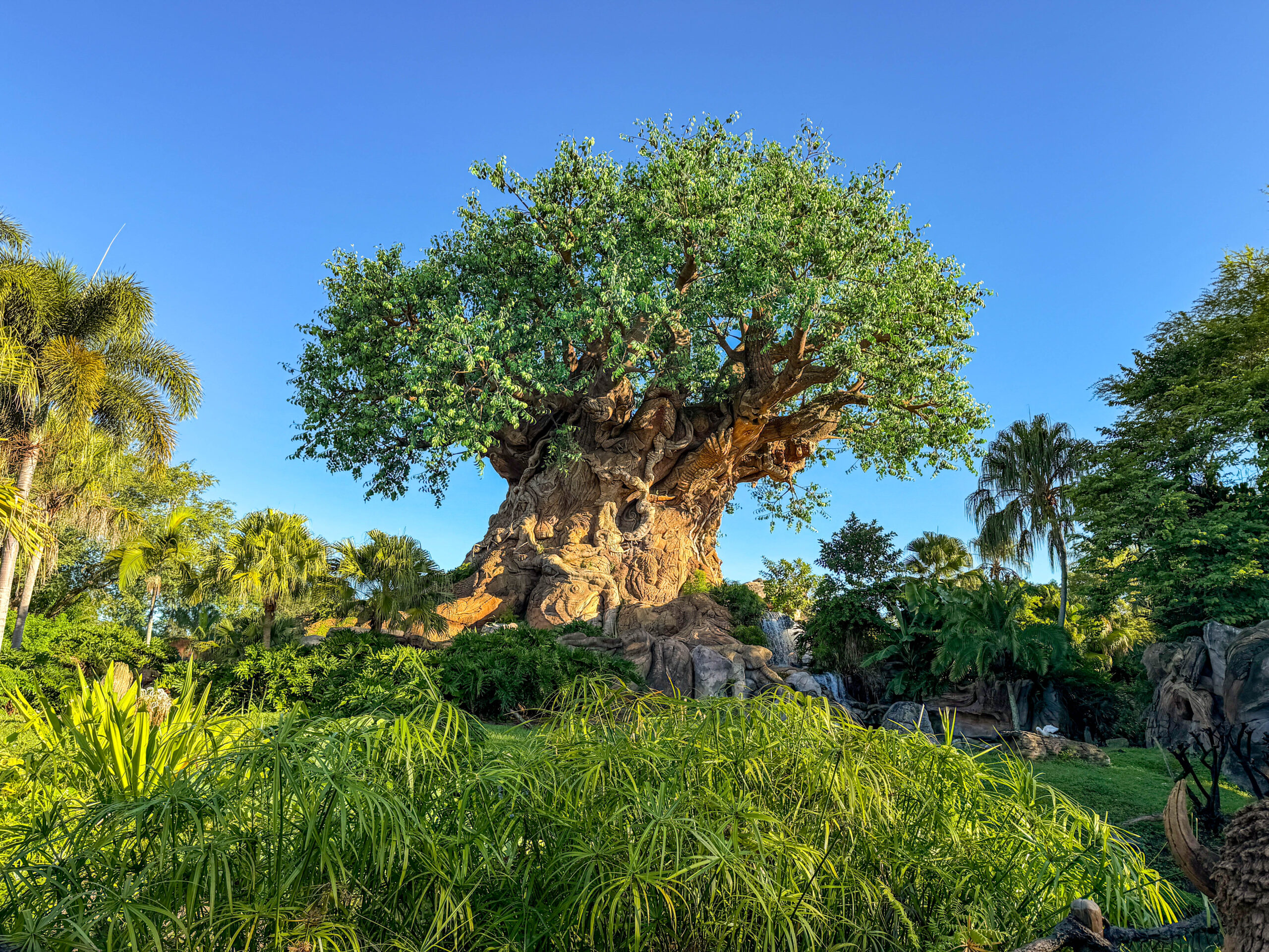 More Ways to Get Your Favorite Animal Kingdom Eat and Treats! Post Image