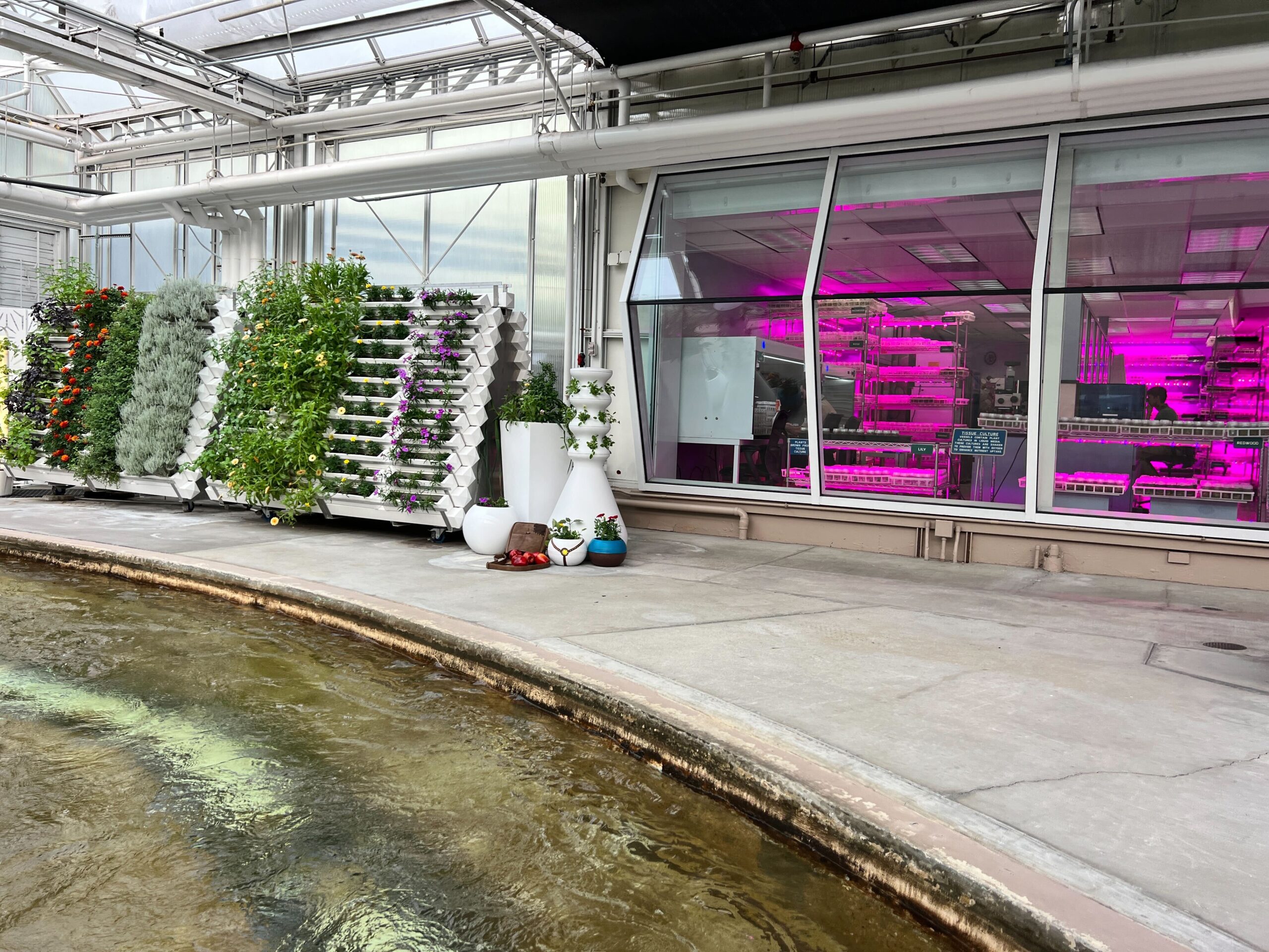Spaceship Earth’s Entrance Sign Is Once Again Illuminated as the Glowing Effect Has Been Restored Post Image