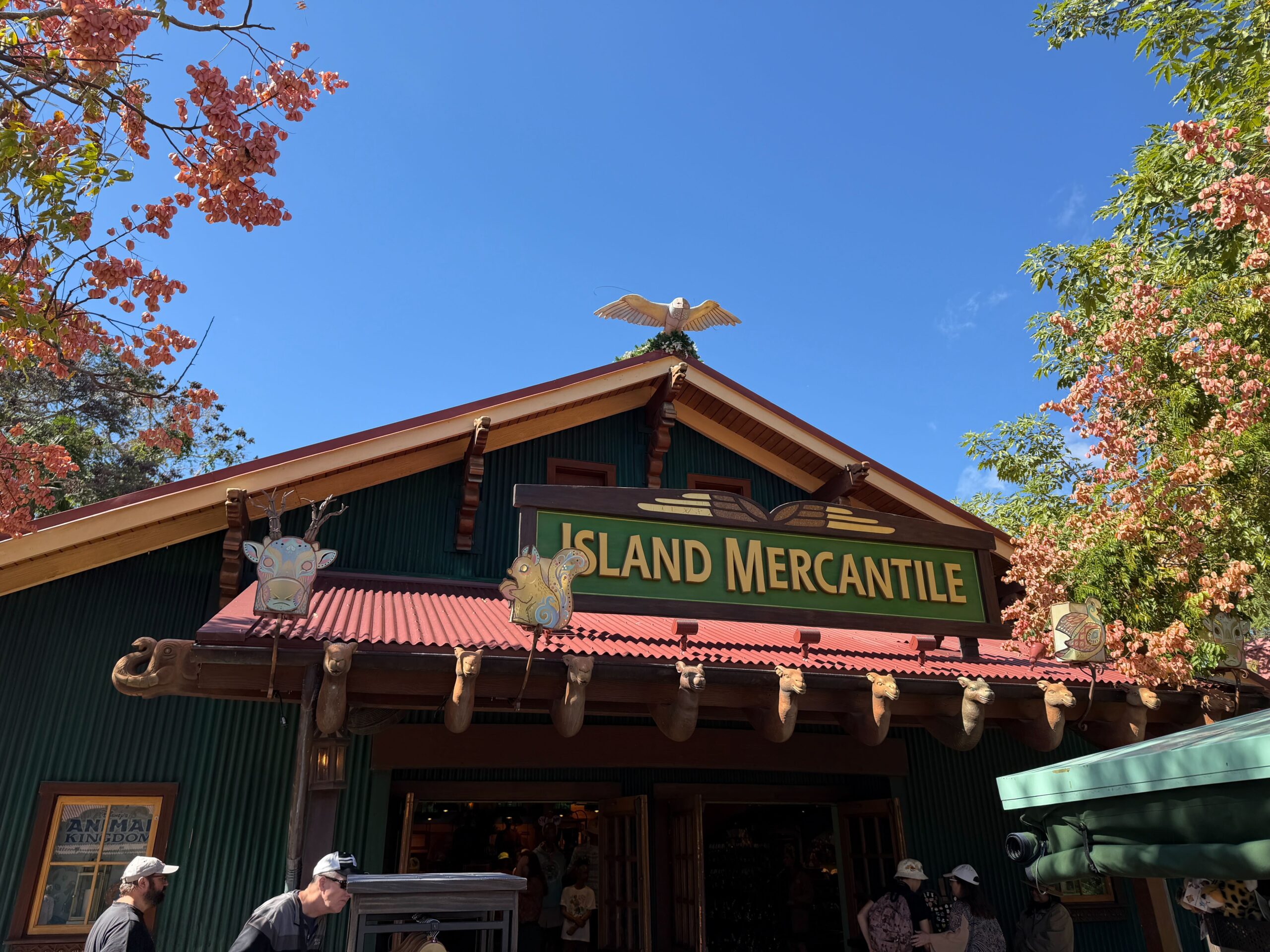 The First Holiday Decorations Have Arrived at Disney’s Animal Kingdom Post Image