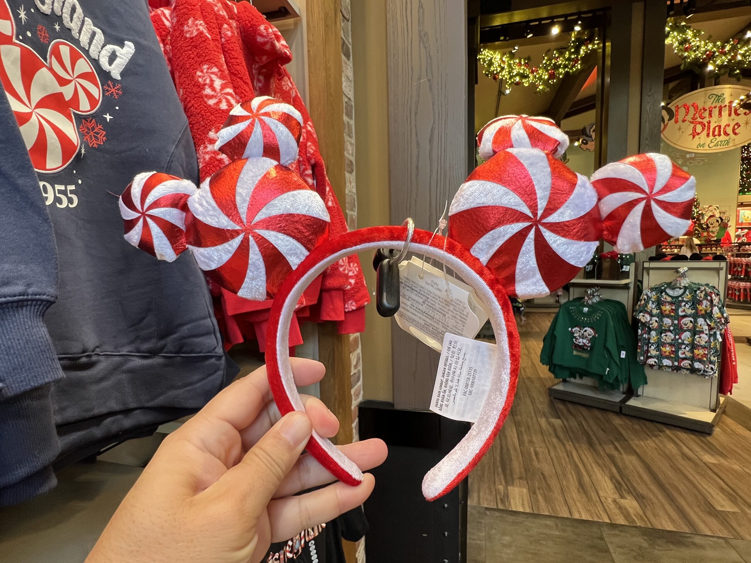 Festive Disney Vacation Club Merchandise Debuted at the Disneyland Hotel! Post Image