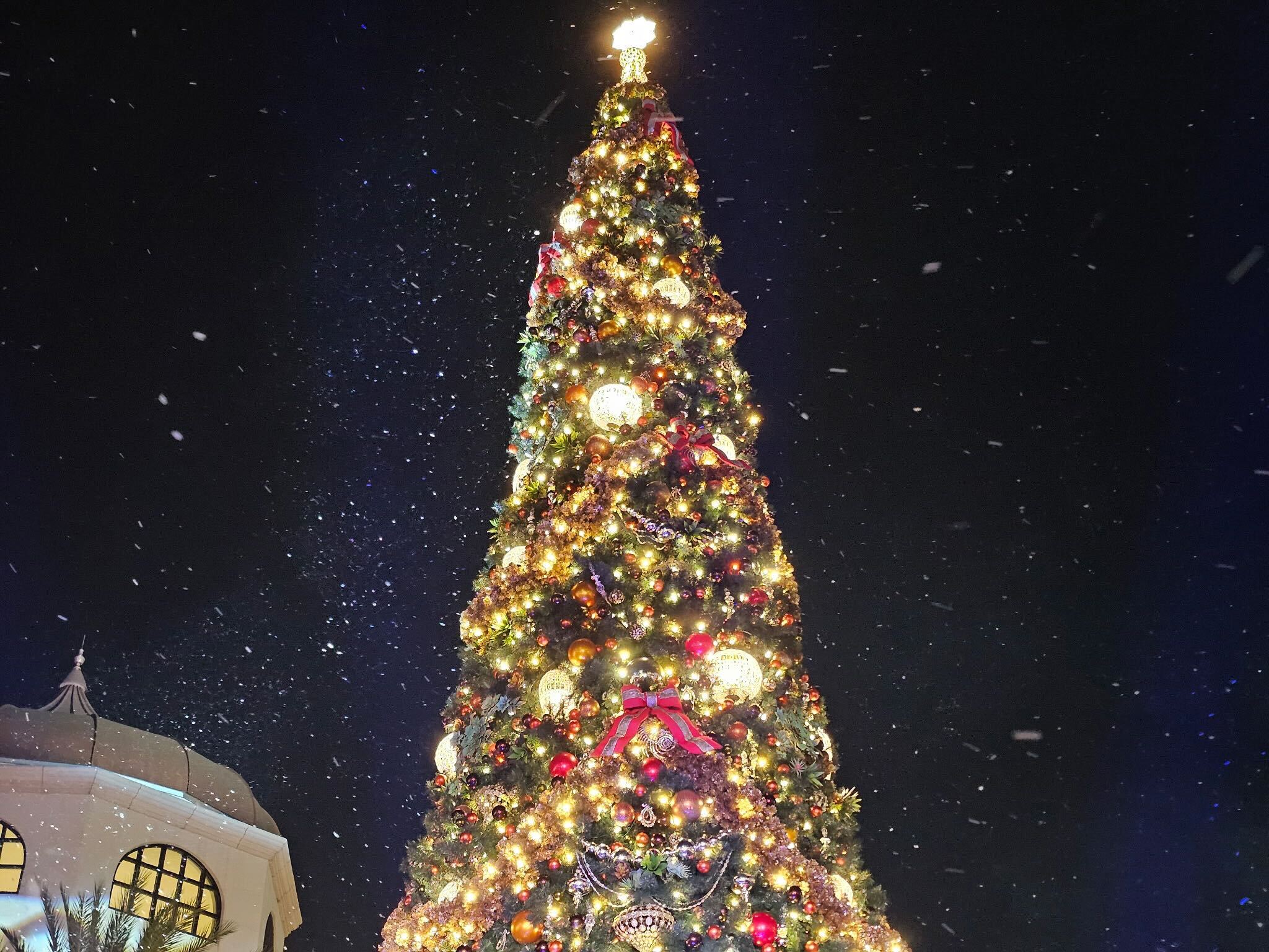 Tree Lighting Ceremony Brings Holiday Magic to Disney Springs Post Image