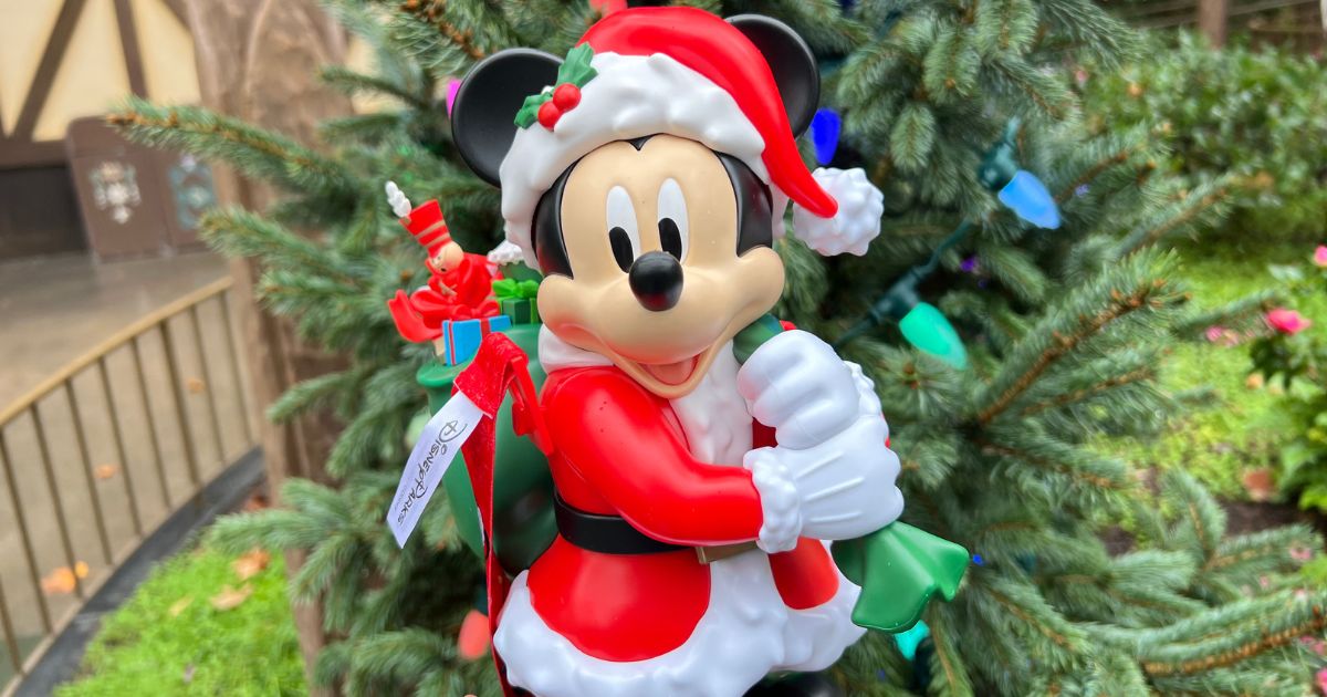 Downtown Disney Finally Got the Strawberry Plushes and Keychains! Post Image