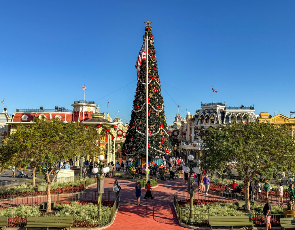 See How Each Magic Kingdom Land is Decorated For the Holidays! Post Image