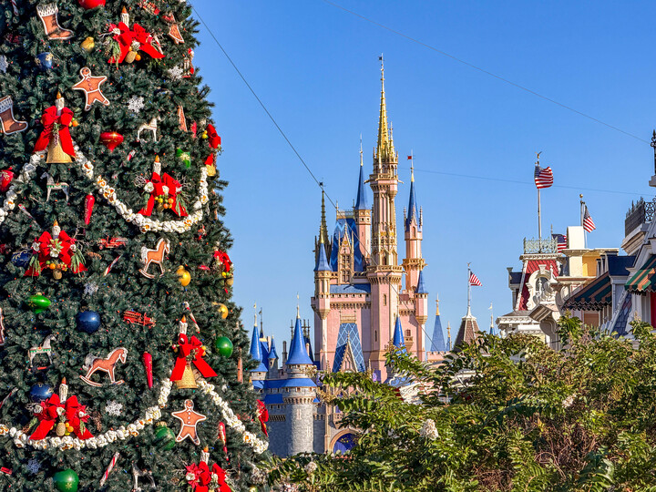 ‘Frozen Holiday Surprise’ Return Date and Showtimes Revealed Post Image