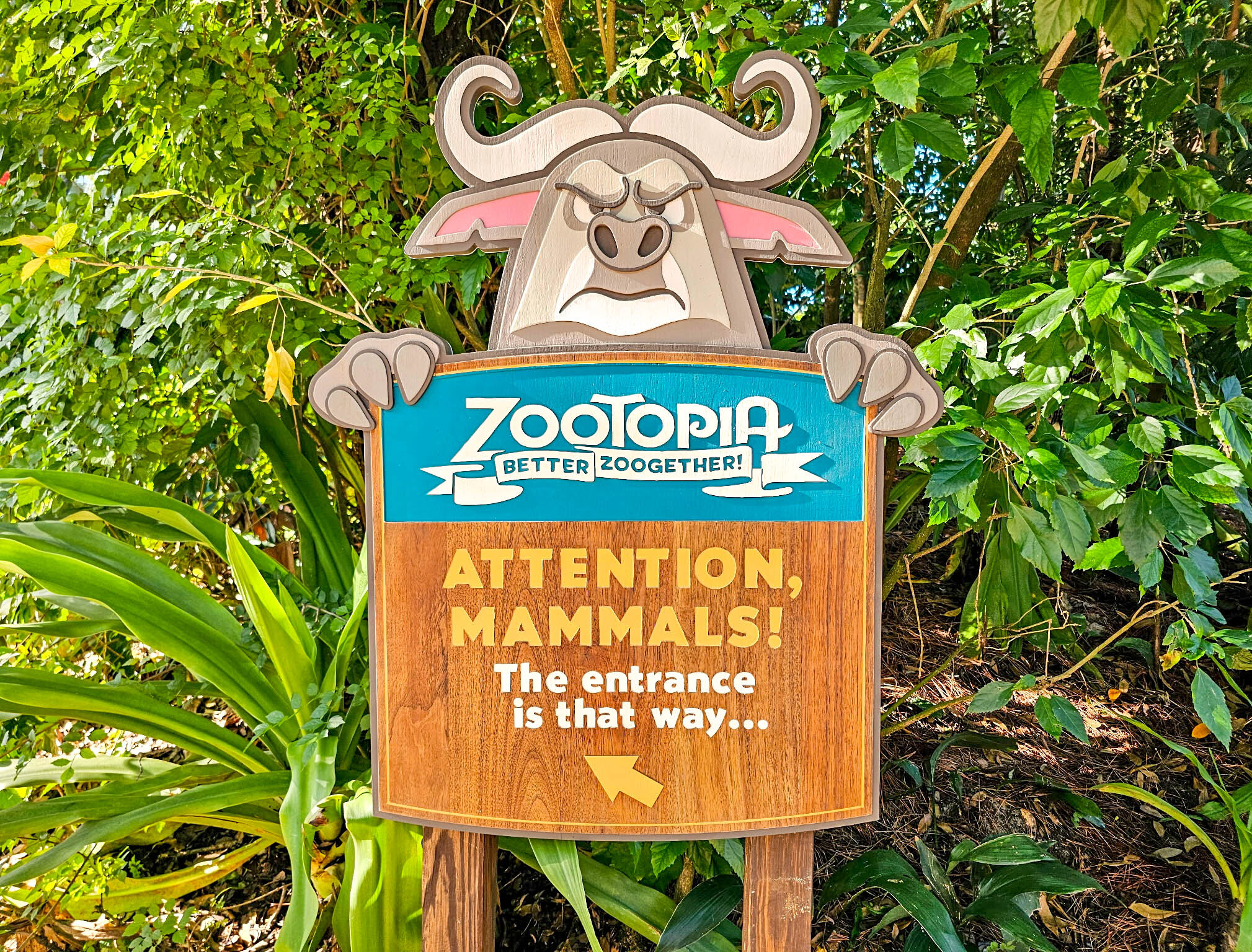 Nick Wilde and Judy Hopps Meet-and-Greet Debuts at Animal Kingdom Post Image