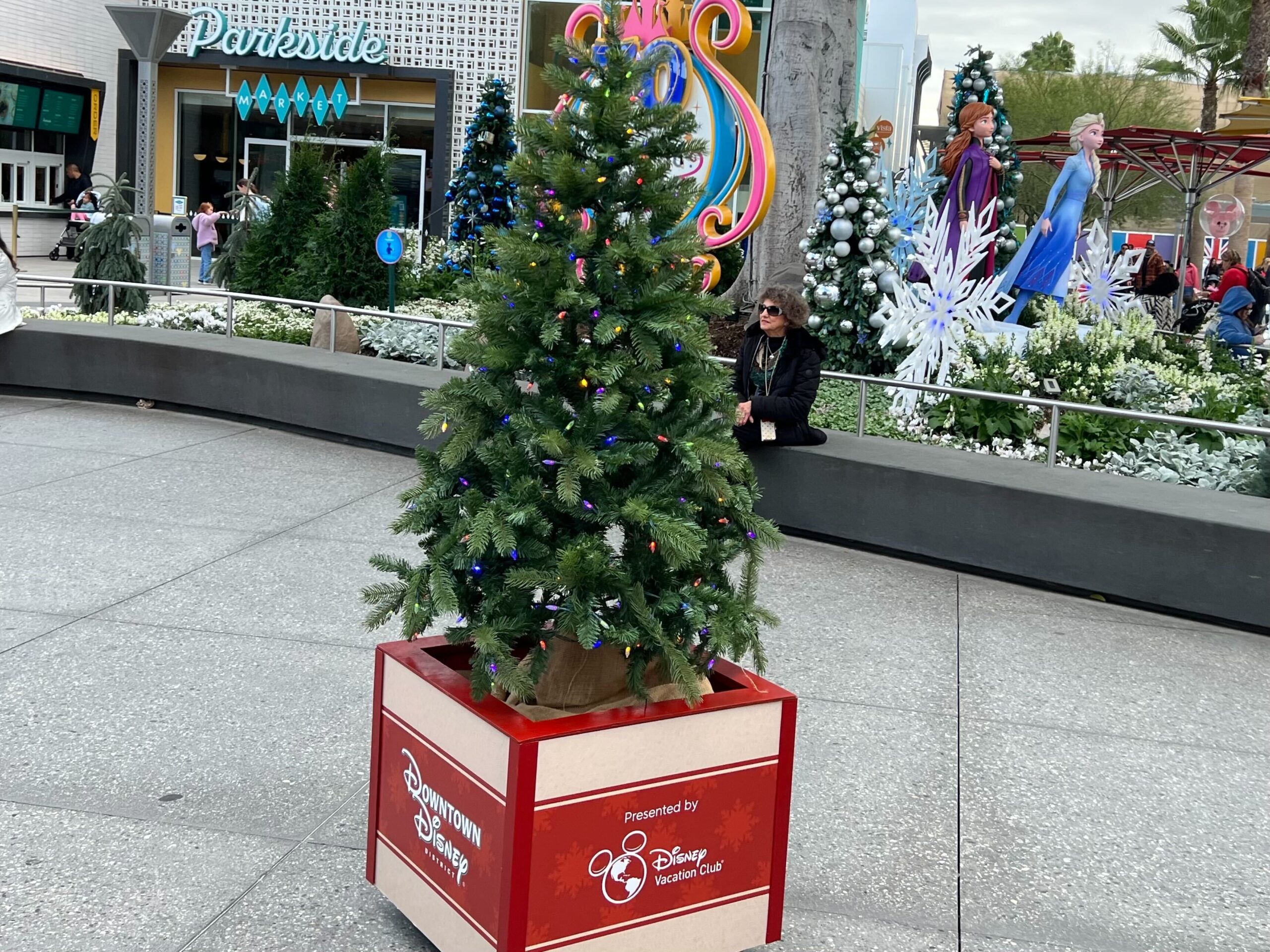 Douglas Fir Brings Holiday Cheer to Downtown Disney Post Image
