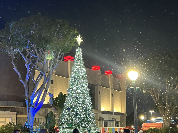 Disney’s Typhoon Lagoon Will CLOSE This Week Due to Cold Temperatures Post Image