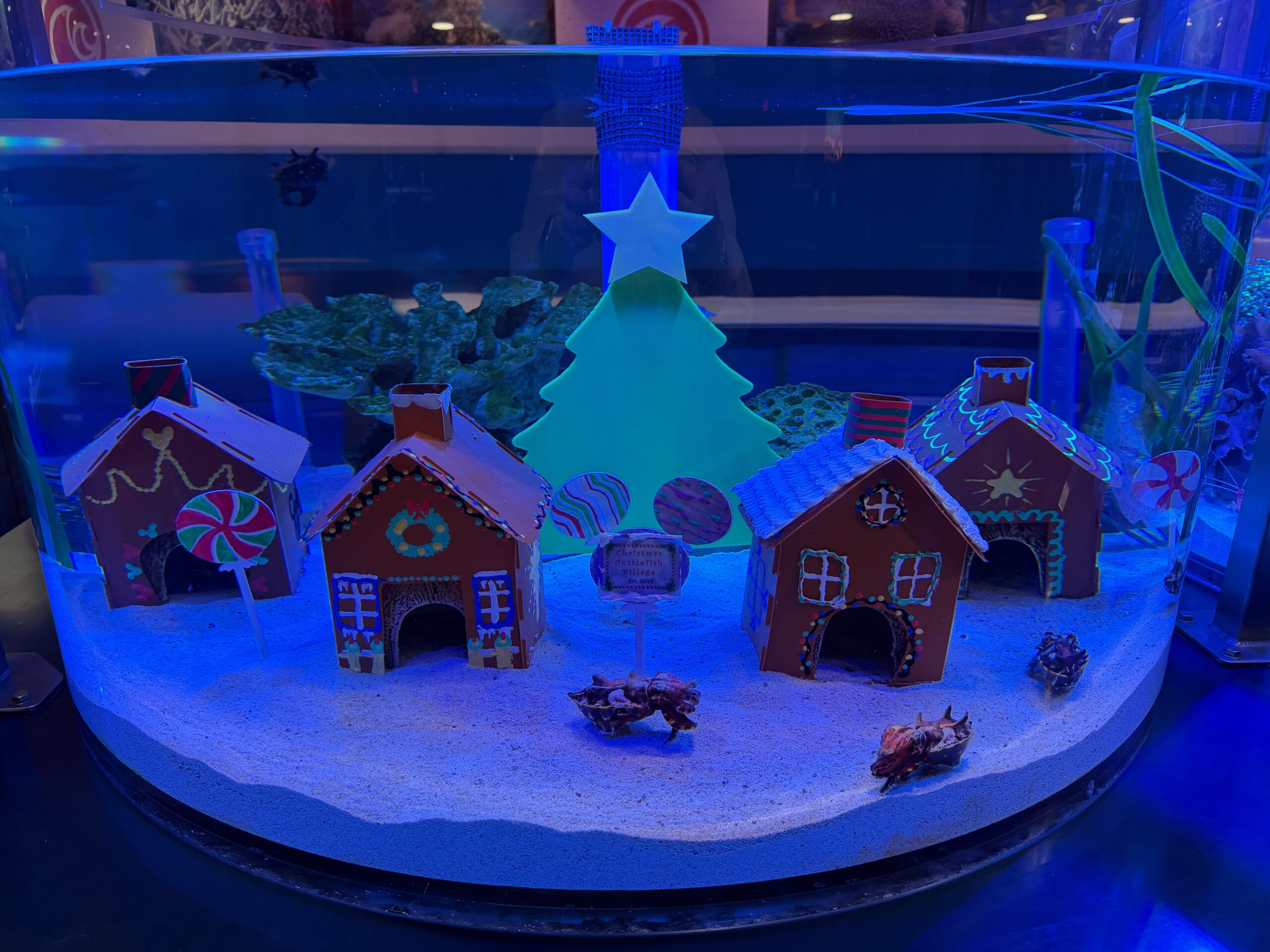 A Poutine Chip n’ Dale Canada Pavilion Collection Just Debuted in EPCOT! Post Image