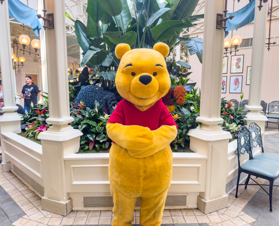 Straight From the 100 Acre Woods, New Pooh Merchandise Arrives at Disney World Post Image